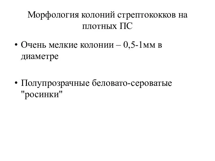 Морфология колоний стрептококков на плотных ПС Очень мелкие колонии – 0,5-1мм в диаметре Полупрозрачные беловато-сероватые "росинки"