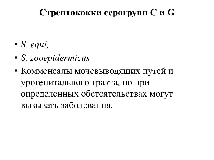 Стрептококки серогрупп С и G S. equi, S. zooepidermicus Комменсалы мочевыводящих