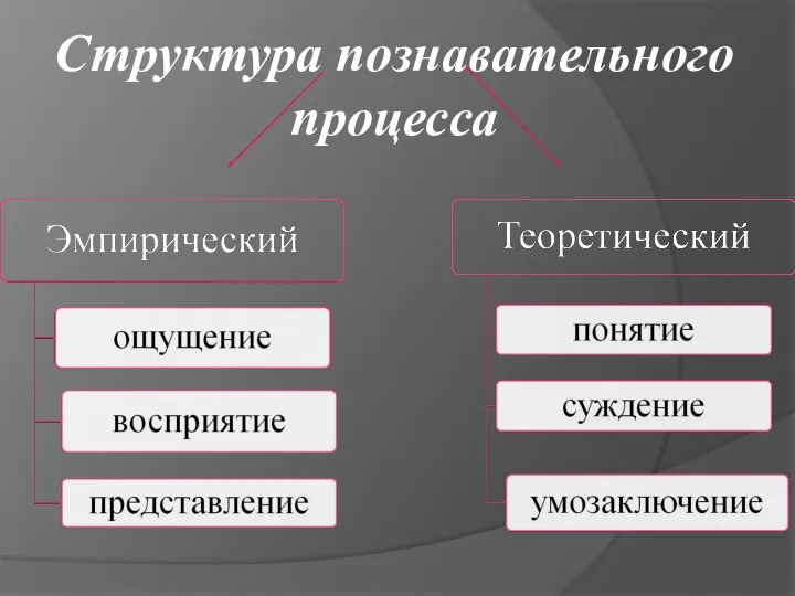 Структура познавательного процесса