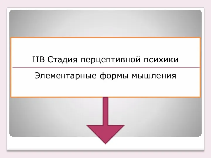 ІІВ Стадия перцептивной психики Элементарные формы мышления