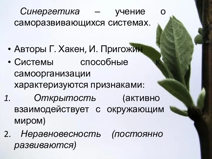 Синергетика – учение о саморазвивающихся системах. Авторы Г. Хакен, И. Пригожин