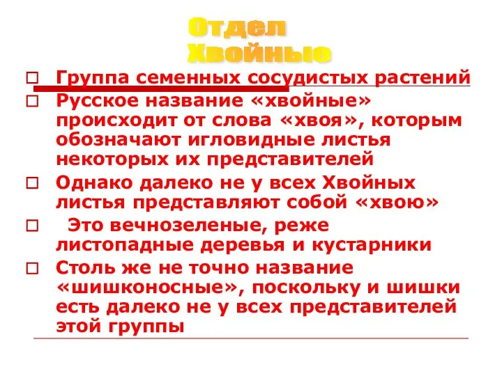 Группа семенных сосудистых растений Русское название «хвойные» происходит от слова «хвоя»,