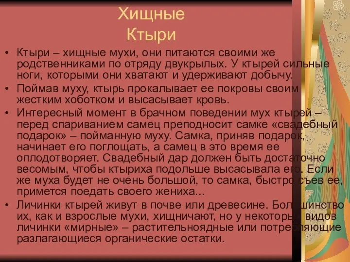 Хищные Ктыри Ктыри – хищные мухи, они питаются своими же родственниками