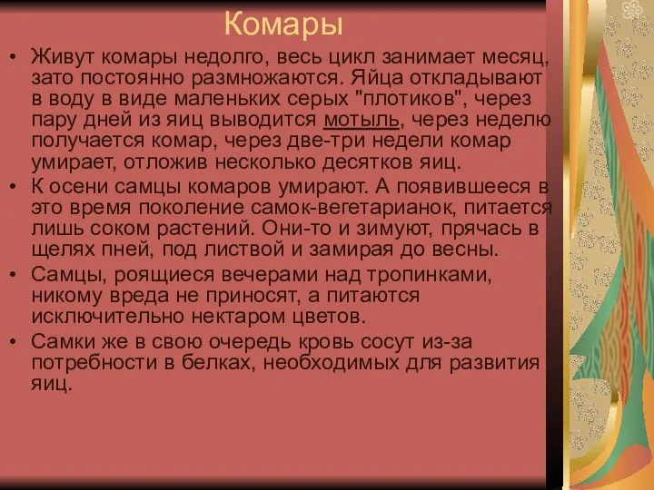 Комары Живут комары недолго, весь цикл занимает месяц, зато постоянно размножаются.