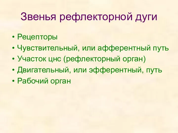 Звенья рефлекторной дуги Рецепторы Чувствительный, или афферентный путь Участок цнс (рефлекторный