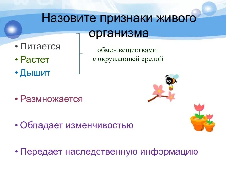 Питается Растет Дышит Размножается Обладает изменчивостью Передает наследственную информацию Назовите признаки