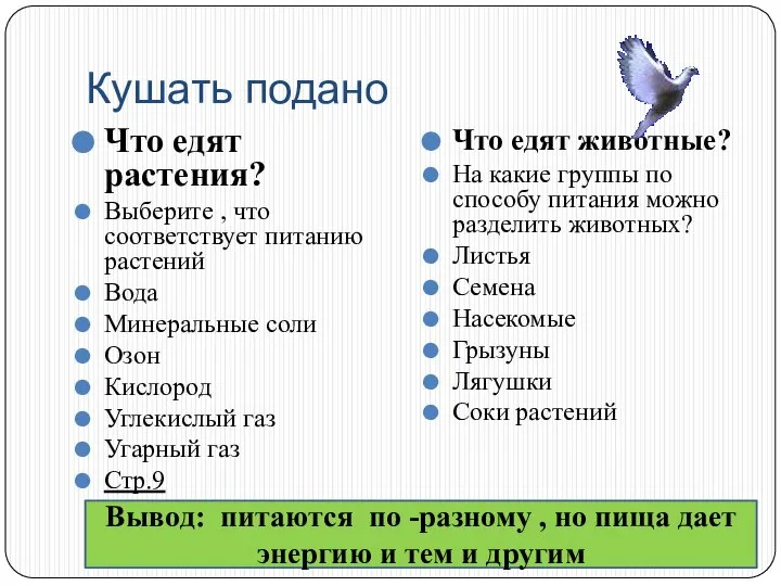 Кушать подано Что едят растения? Выберите , что соответствует питанию растений