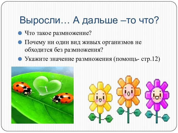 Выросли… А дальше –то что? Что такое размножение? Почему ни один