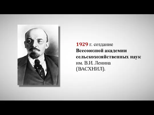 1929 г. создание Всесоюзной академии сельскохозяйственных наук им. В.И. Ленина (ВАСХНИЛ).