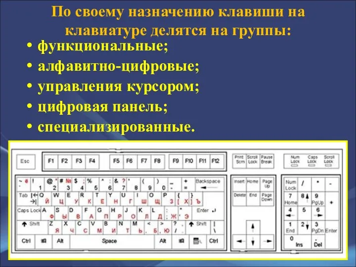 По своему назначению клавиши на клавиатуре делятся на группы: функциональные; алфавитно-цифровые; управления курсором; цифровая панель; специализированные.