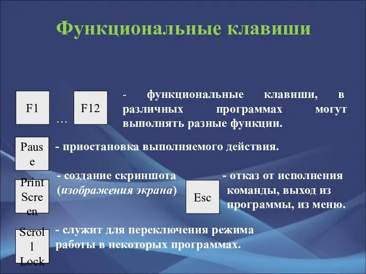 Функциональные клавиши - функциональные клавиши, в различных программах могут выполнять разные