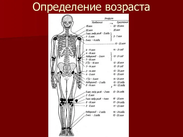 Определение возраста