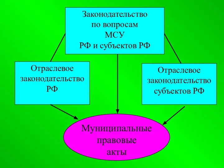 Отраслевое законодательство РФ Законодательство по вопросам МСУ РФ и субъектов РФ