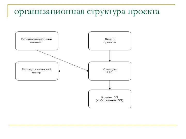 организационная структура проекта