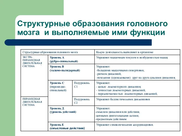 Структурные образования головного мозга и выполняемые ими функции