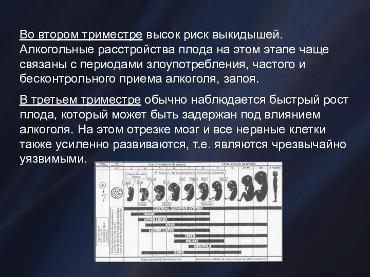 Во втором триместре высок риск выкидышей. Алкогольные расстройства плода на этом