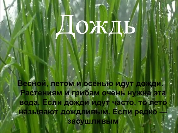 Весной, летом и осенью идут дожди. Растениям и грибам очень нужна