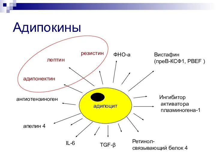 Адипокины лептин ФНО-а Вистафин (преВ-КСФ1, PBEF ) адипонектин Ретинол- связывающий белок