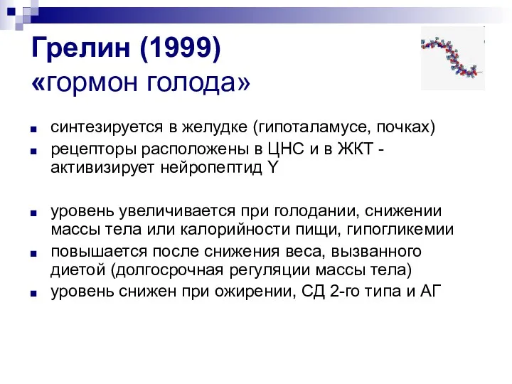 Грелин (1999) «гормон голода» синтезируется в желудке (гипоталамусе, почках) рецепторы расположены