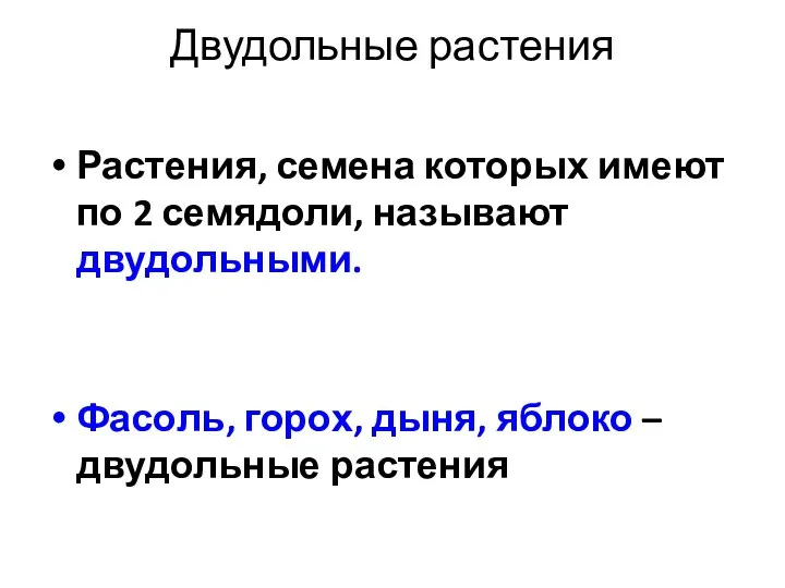 Двудольные растения Растения, семена которых имеют по 2 семядоли, называют двудольными.