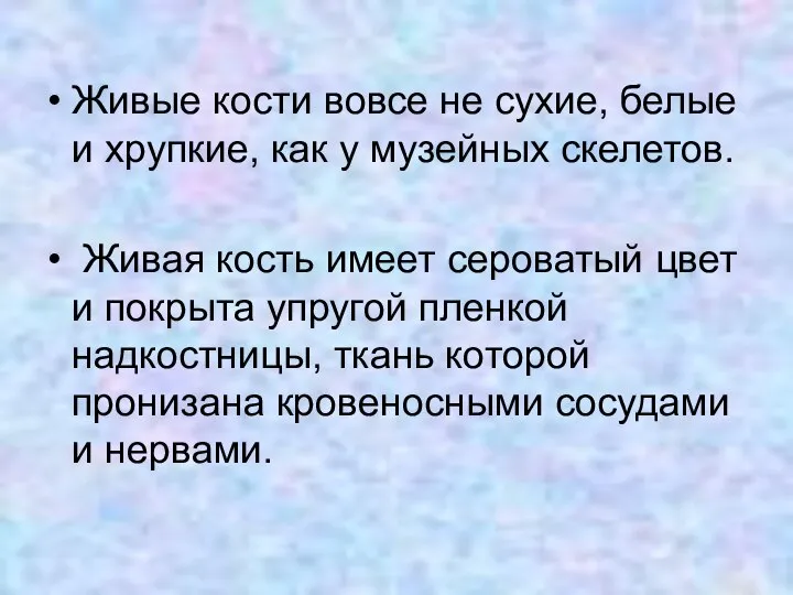 Живые кости вовсе не сухие, белые и хрупкие, как у музейных