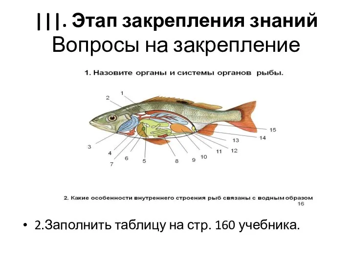 |||. Этап закрепления знаний Вопросы на закрепление 2.Заполнить таблицу на стр. 160 учебника.