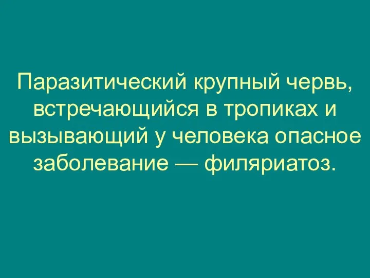 Паразитический крупный червь, встречающийся в тропиках и вызывающий у человека опасное заболевание — филяриатоз.