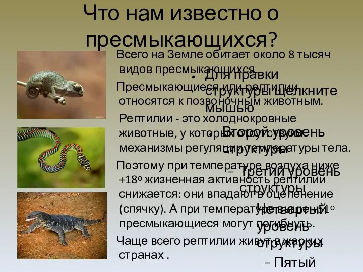 Что нам известно о пресмыкающихся? Всего на Земле обитает около 8