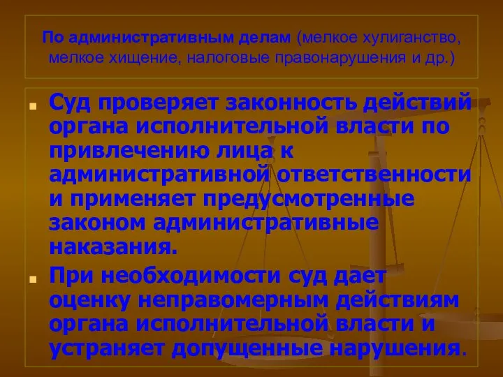 По административным делам (мелкое хулиганство, мелкое хищение, налоговые правонарушения и др.)