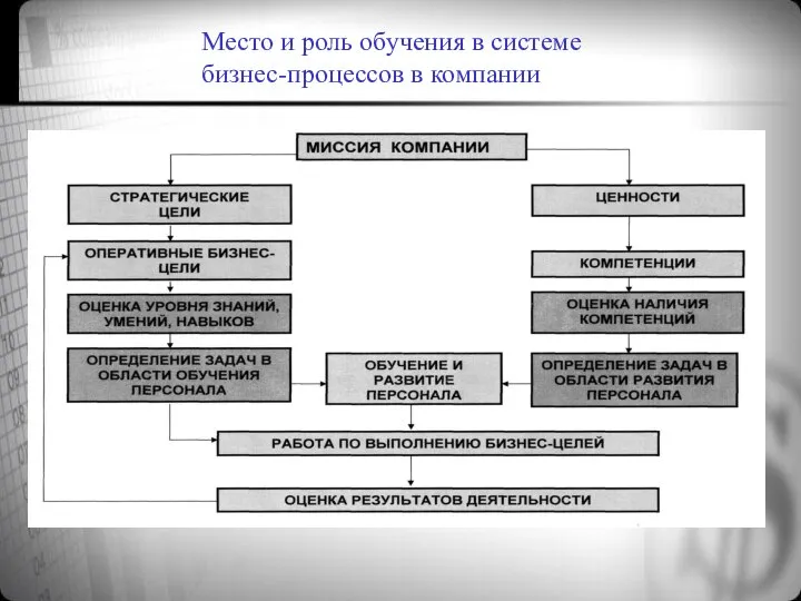 Место и роль обучения в системе бизнес-процессов в компании