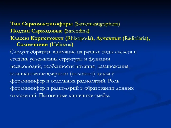 Тип Саркомастигофоры (Sarcomastigophora) Подтип Саркодовые (Sarcodina) Классы Корненожки (Rhizopoda), Лучевики (Radiolaria),