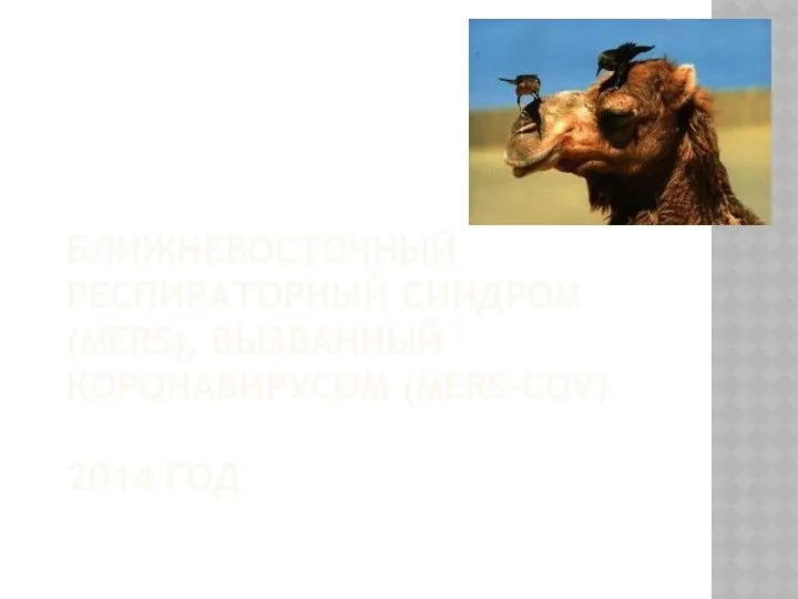 БЛИЖНЕВОСТОЧНЫЙ РЕСПИРАТОРНЫЙ СИНДРОМ (MERS), ВЫЗВАННЫЙ КОРОНАВИРУСОМ (MERS-COV) 2014 ГОД