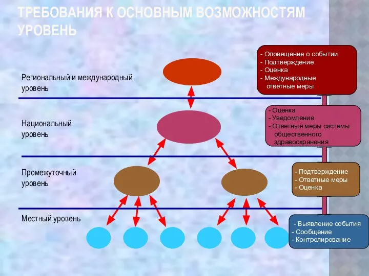 ТРЕБОВАНИЯ К ОСНОВНЫМ ВОЗМОЖНОСТЯМ УРОВЕНЬ Местный уровень Национальный уровень Промежуточный уровень