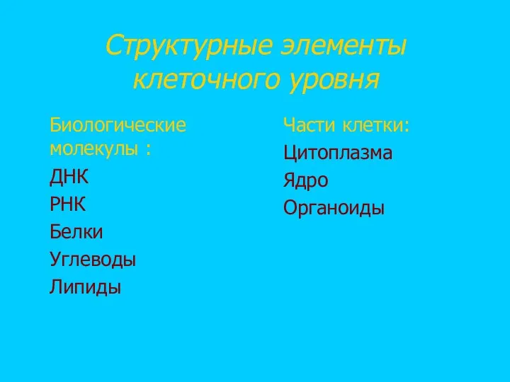 Структурные элементы клеточного уровня Биологические молекулы : ДНК РНК Белки Углеводы