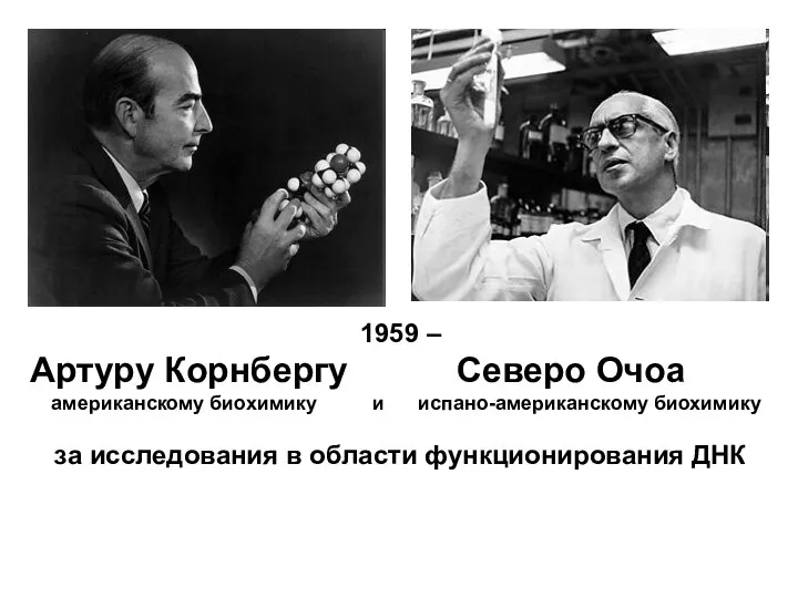 1959 – Артуру Корнбергу Северо Очоа американскому биохимику и испано-американскому биохимику