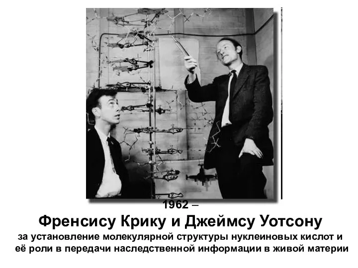 1962 – Френсису Крику и Джеймсу Уотсону за установление молекулярной структуры