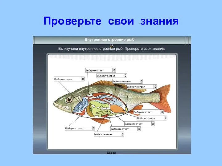 Проверьте свои знания