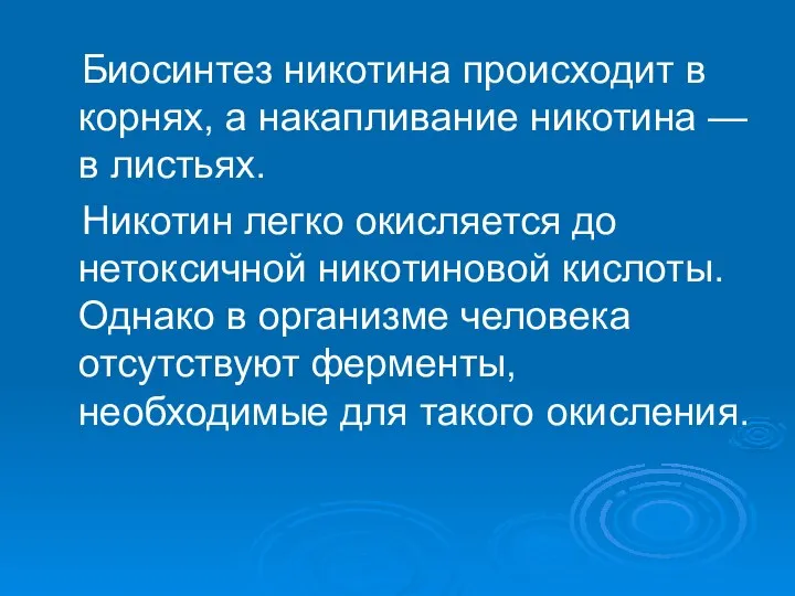 Биосинтез никотина происходит в корнях, а накапливание никотина — в листьях.