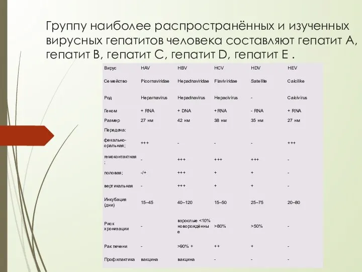 Группу наиболее распространённых и изученных вирусных гепатитов человека составляют гепатит А,