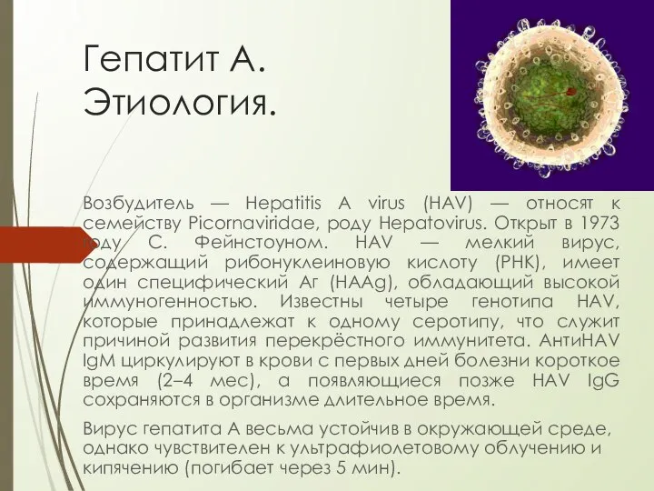 Гепатит А. Этиология. Возбудитель — Hepatitis A virus (HAV) — относят