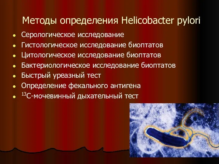 Методы определения Helicobacter pylori Серологическое исследование Гистологическое исследование биоптатов Цитологическое исследование