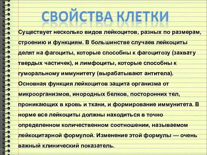 Существует несколько видов лейкоцитов, разных по размерам, строению и функциям. В