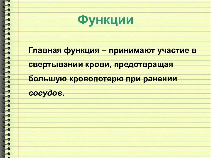 Функции Главная функция – принимают участие в свертывании крови, предотвращая большую кровопотерю при ранении сосудов.