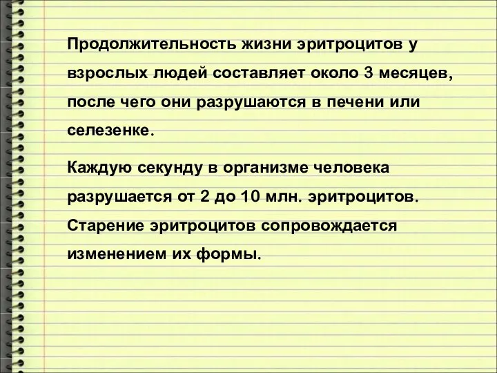 Продолжительность жизни эритроцитов у взрослых людей составляет около 3 месяцев, после