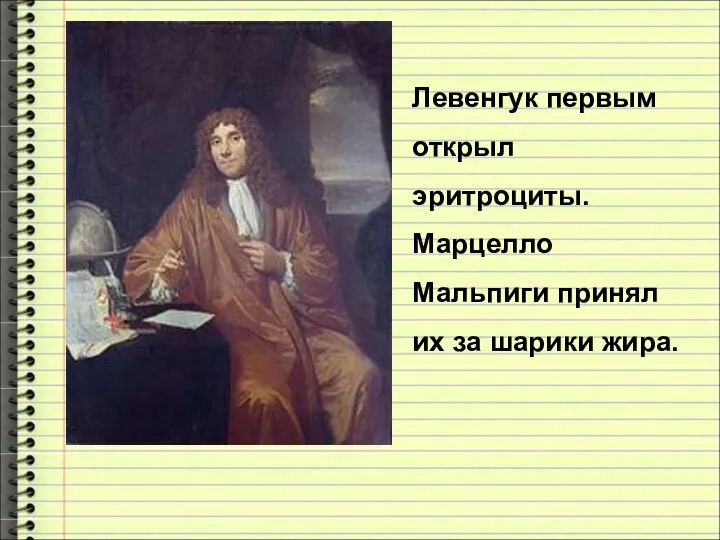 Левенгук первым открыл эритроциты. Марцелло Мальпиги принял их за шарики жира.