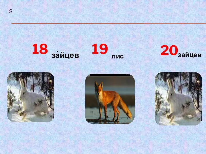 18 19 20 за́йцев лис зайцев 8