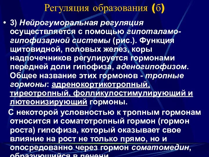 Регуляция образования (б) 3) Нейрогуморальная регуляция осуществляется с помощью гипоталамо-гипофизарной системы