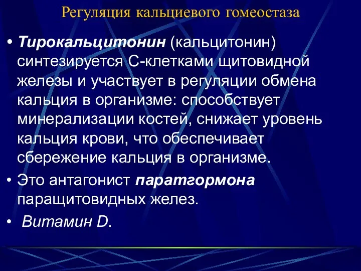 Регуляция кальциевого гомеостаза Тирокальцитонин (кальцитонин) синтезируется С-клетками щитовидной железы и участвует