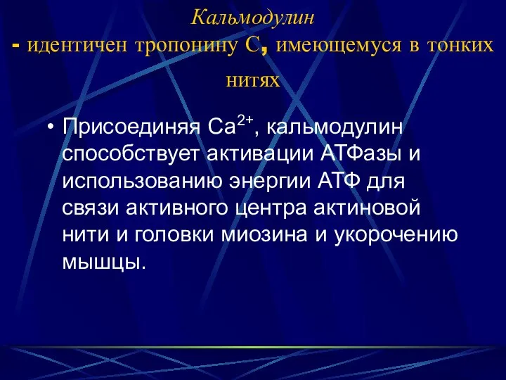 Кальмодулин - идентичен тропонину С, имеющемуся в тонких нитях Присоединяя Са2+,