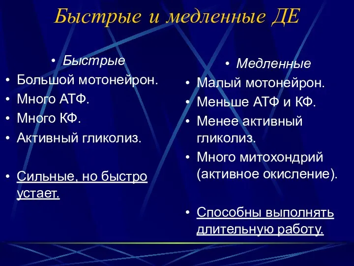 Быстрые и медленные ДЕ Быстрые Большой мотонейрон. Много АТФ. Много КФ.